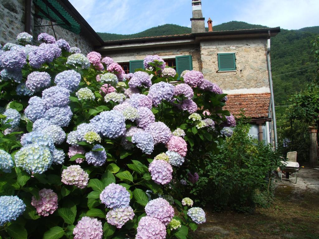 B&B Alle Ortensie Blu Sesta Godano Exterior photo