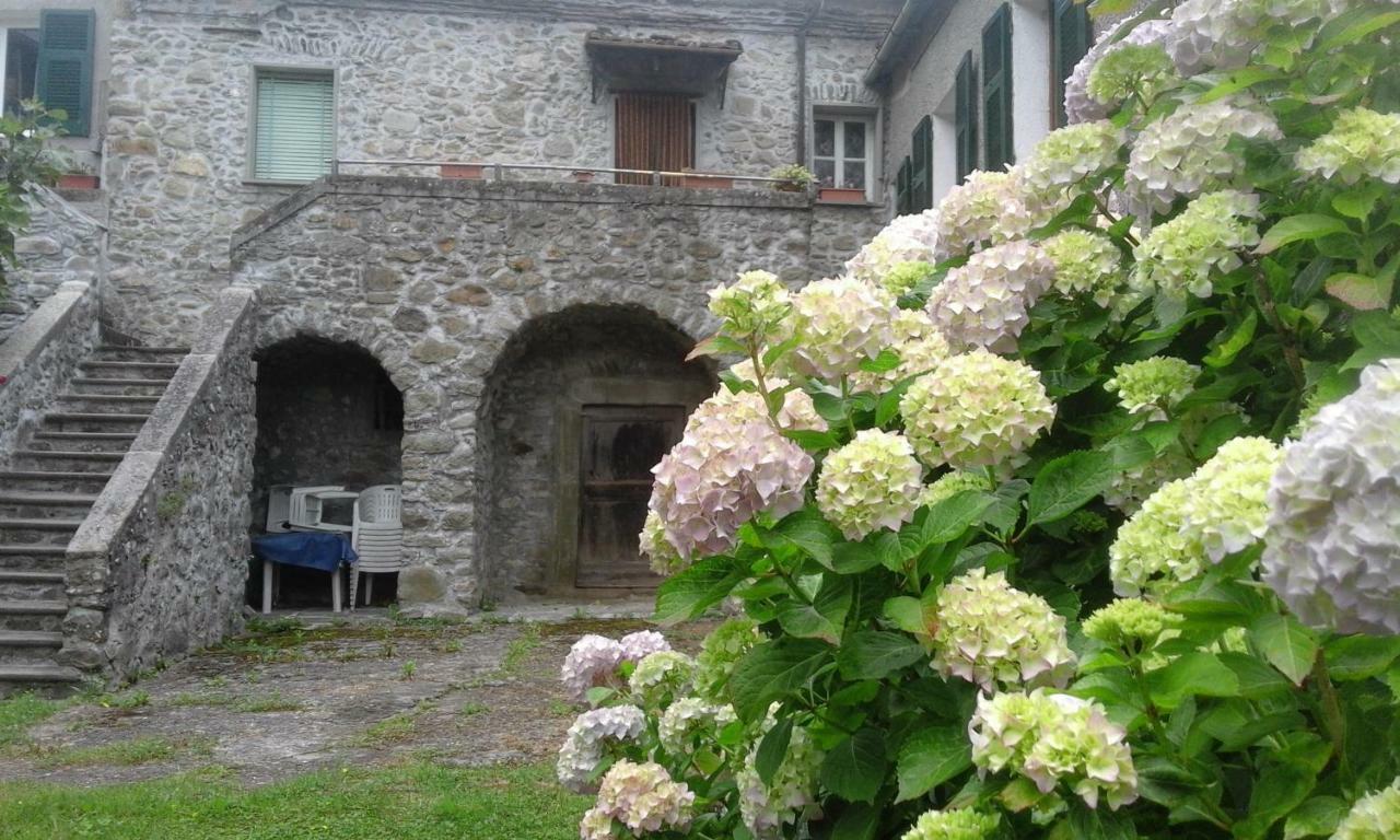 B&B Alle Ortensie Blu Sesta Godano Exterior photo